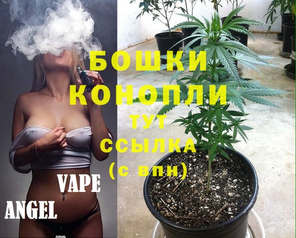 сатива Алексеевка