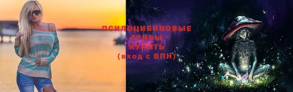 гидропоника Алзамай