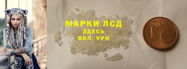 стаф Алексин