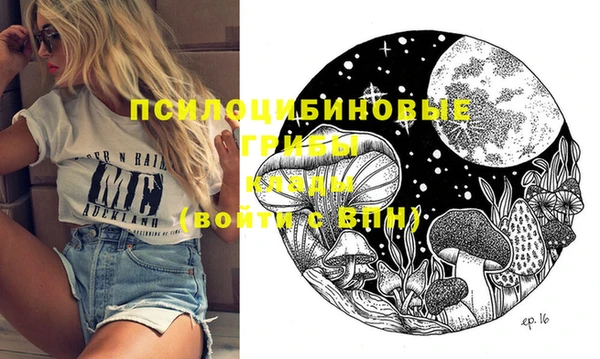 спиды Абинск