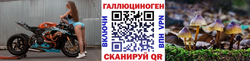 купить наркотик  Катайск  Псилоцибиновые грибы GOLDEN TEACHER 